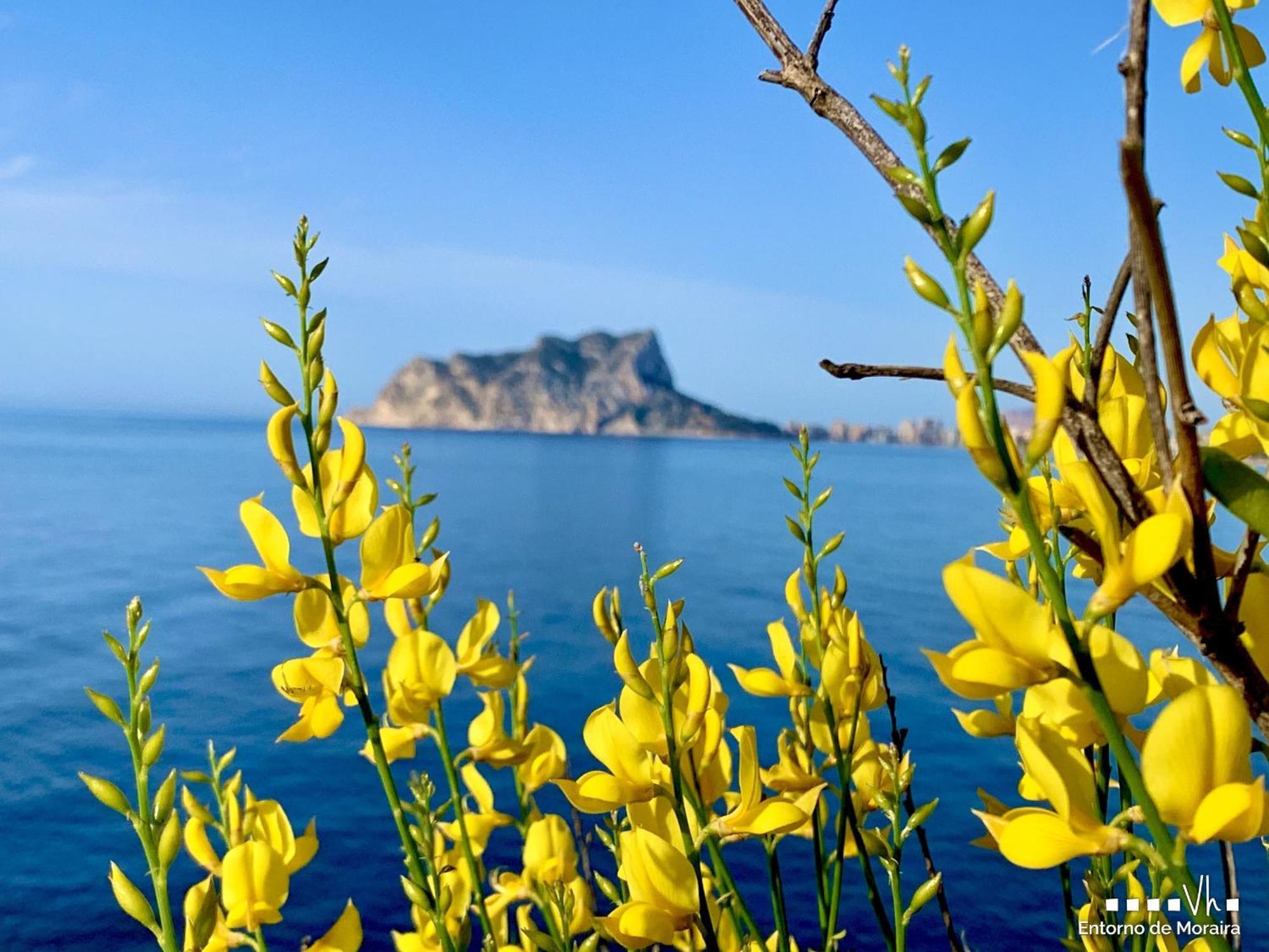 Vh Costablanca - Carmen Villa Moraira Bagian luar foto